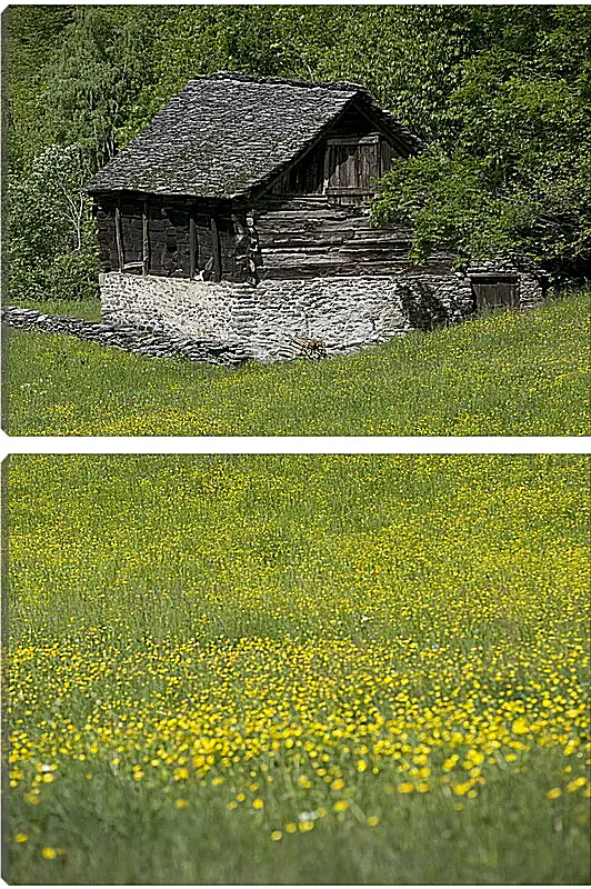 Модульная картина - Домик в горах
