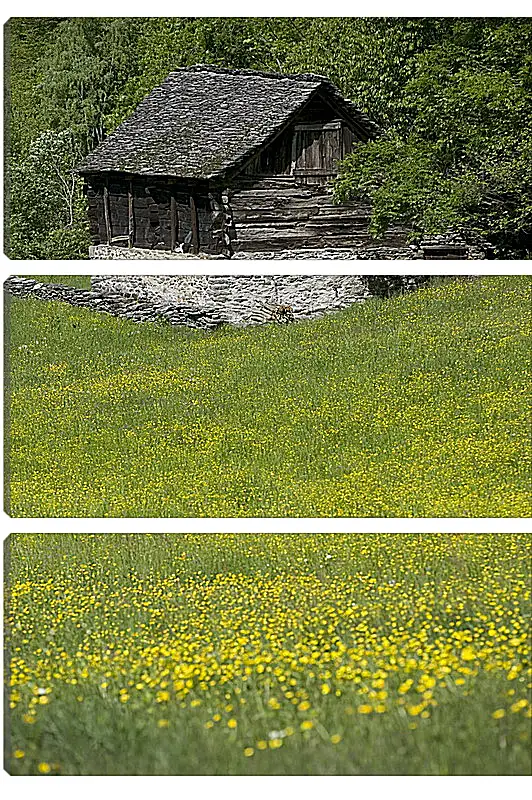 Модульная картина - Домик в горах
