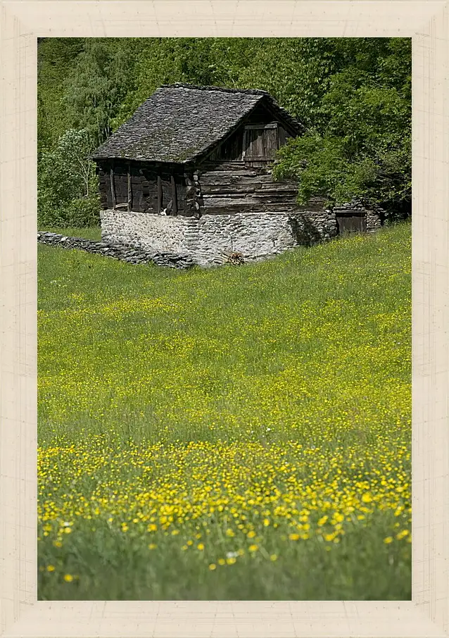 Картина в раме - Домик в горах
