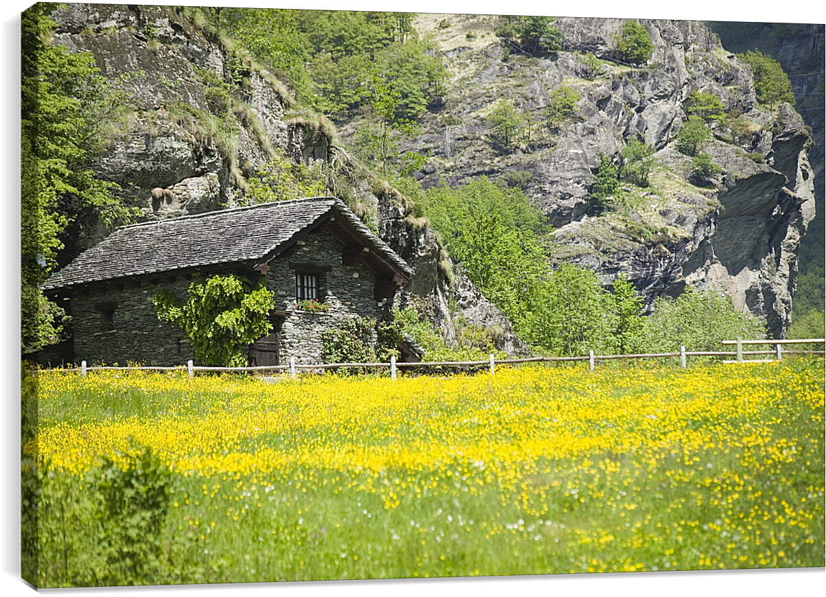 Постер и плакат - Домик в горах
