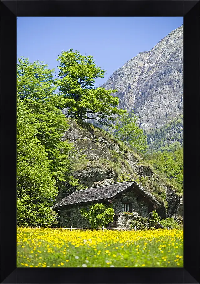 Картина в раме - Домик в горах
