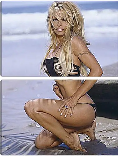 Модульная картина - Pamela Anderson - Памела Андерсон
