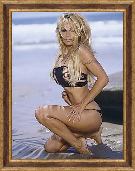 Картина в раме - Pamela Anderson - Памела Андерсон
