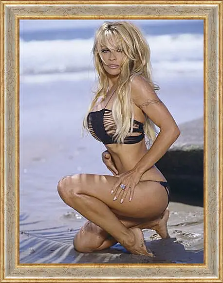 Картина в раме - Pamela Anderson - Памела Андерсон
