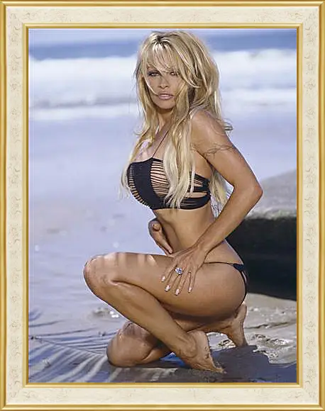 Картина в раме - Pamela Anderson - Памела Андерсон
