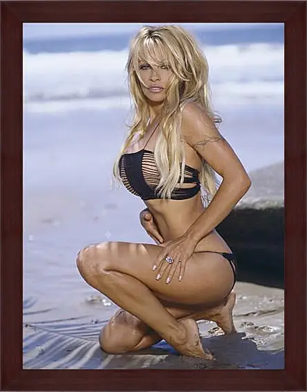 Картина в раме - Pamela Anderson - Памела Андерсон
