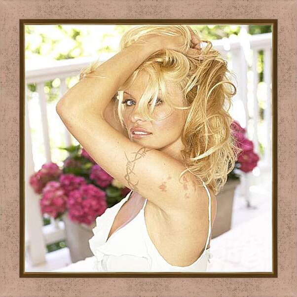 Картина в раме - Pamela Anderson - Памела Андерсон
