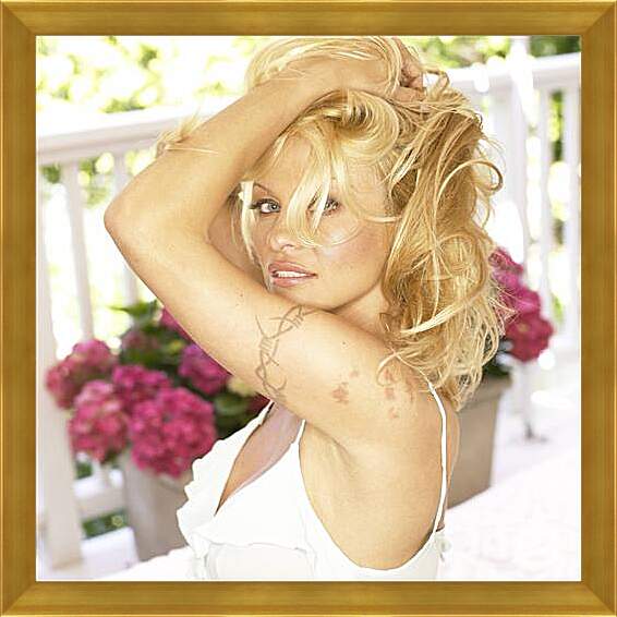 Картина в раме - Pamela Anderson - Памела Андерсон
