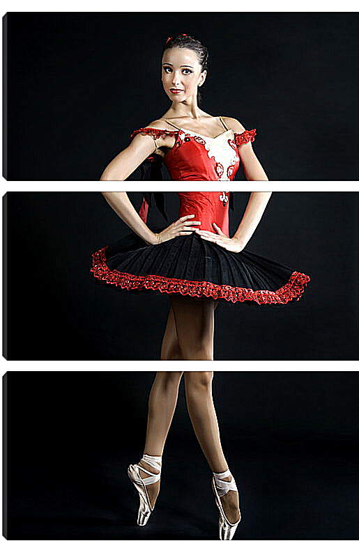 Модульная картина - Молодая балерина