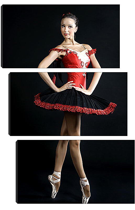 Модульная картина - Молодая балерина