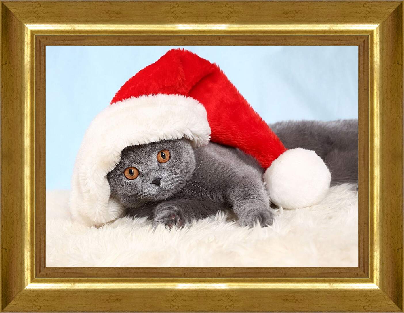 Картина в раме - Новогодний котенок