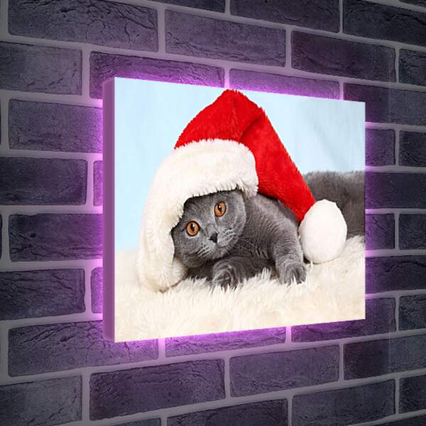 Лайтбокс световая панель - Новогодний котенок