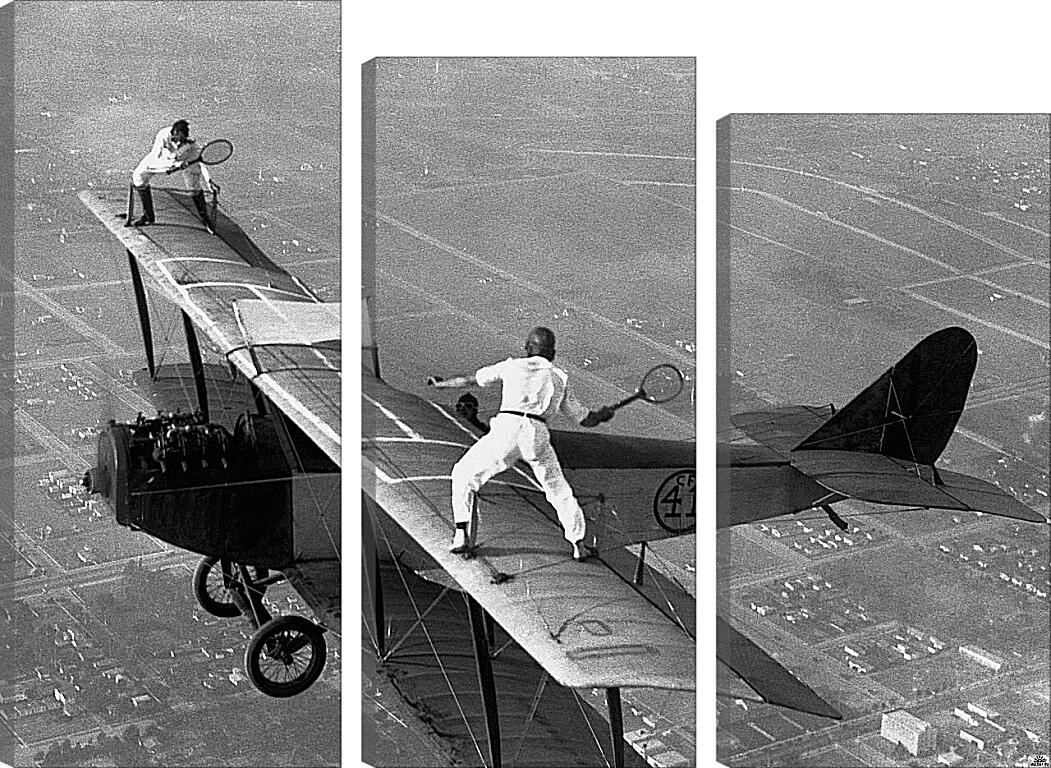 Модульная картина - Теннис на самолете