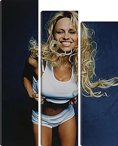 Модульная картина - Pamela Anderson - Памела Андерсон
