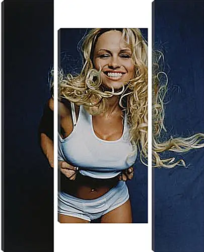 Модульная картина - Pamela Anderson - Памела Андерсон
