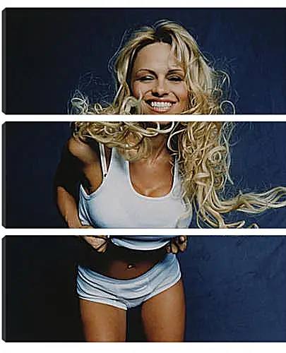 Модульная картина - Pamela Anderson - Памела Андерсон
