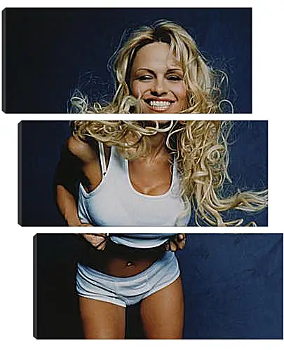 Модульная картина - Pamela Anderson - Памела Андерсон
