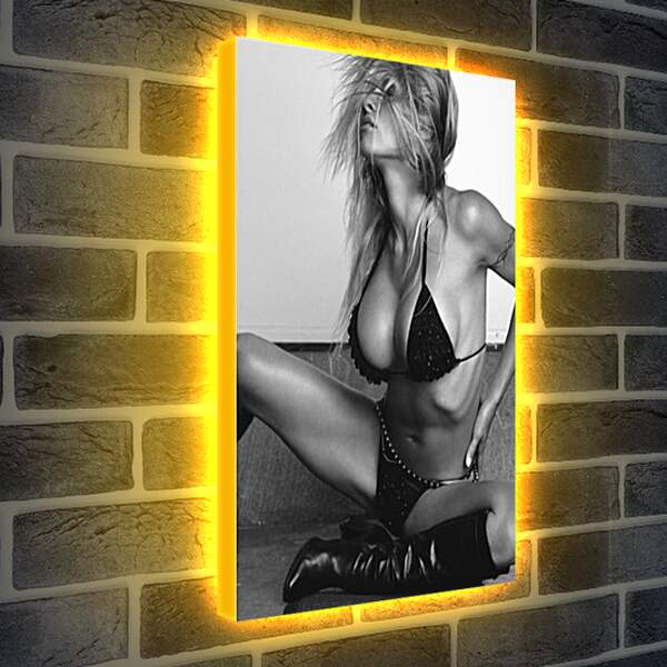 Лайтбокс световая панель - Pamela Anderson - Памела Андерсон
