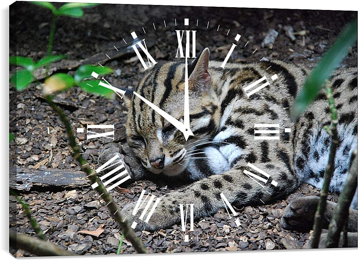 Часы картина - Дикая кошка
