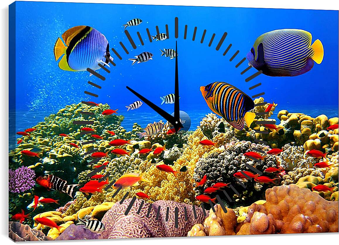 Часы картина - Рыбы