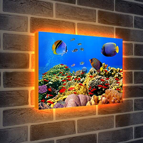 Лайтбокс световая панель - Рыбы