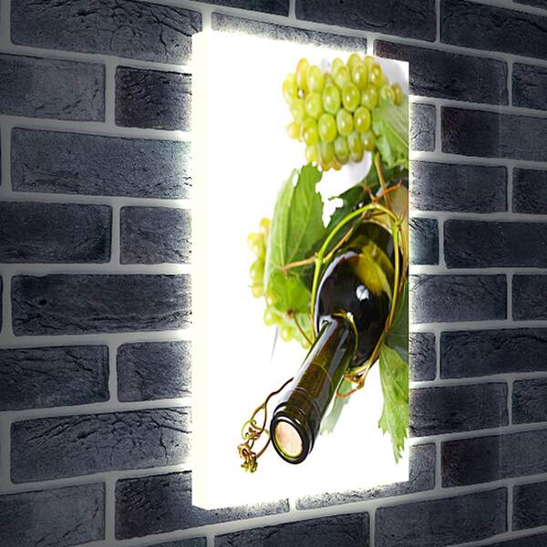 Лайтбокс световая панель - Бутылка вина в лозе