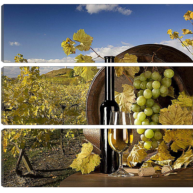 Модульная картина - Солнечный виноградник