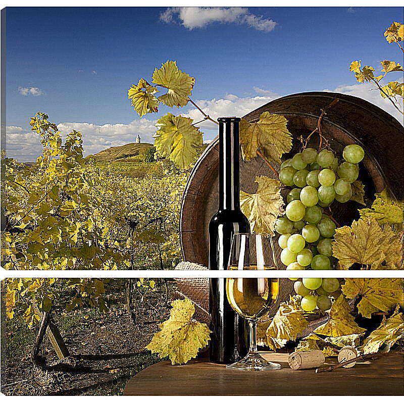 Модульная картина - Солнечный виноградник