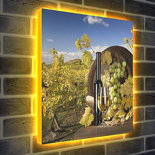 Лайтбокс световая панель - Солнечный виноградник