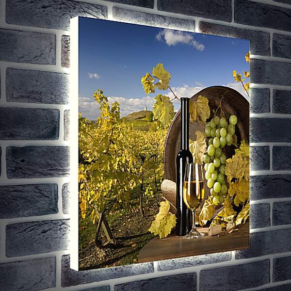 Лайтбокс световая панель - Солнечный виноградник