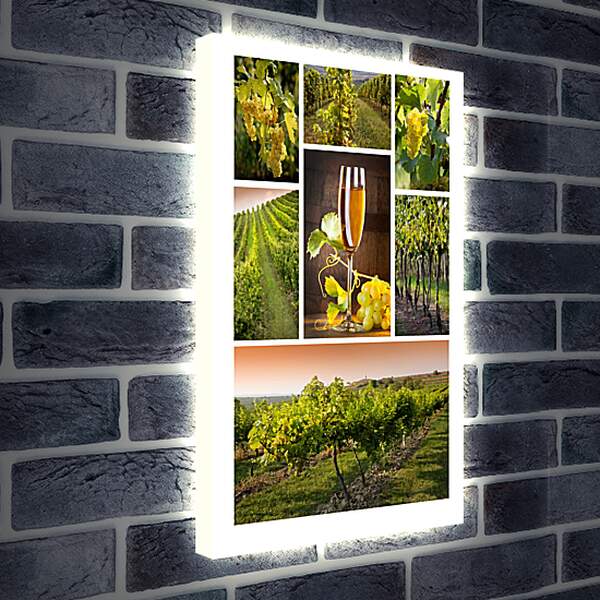 Лайтбокс световая панель - Виноградники