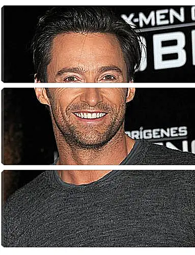 Модульная картина - Hugh Jackman - Хью Джекман
