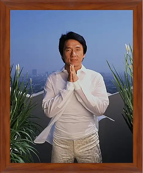Картина в раме - Jackie Chan - Джеки Чан

