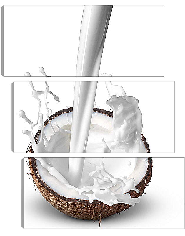 Модульная картина - Кокос и молоко