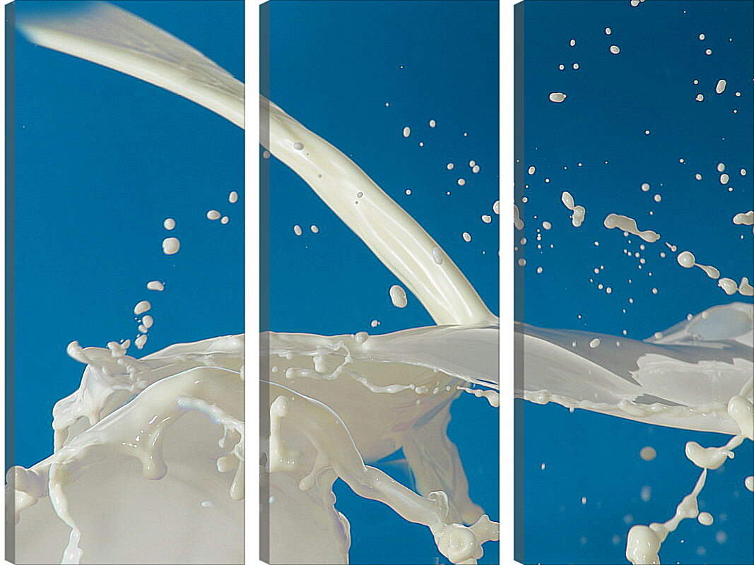 Модульная картина - Молоко и брызги