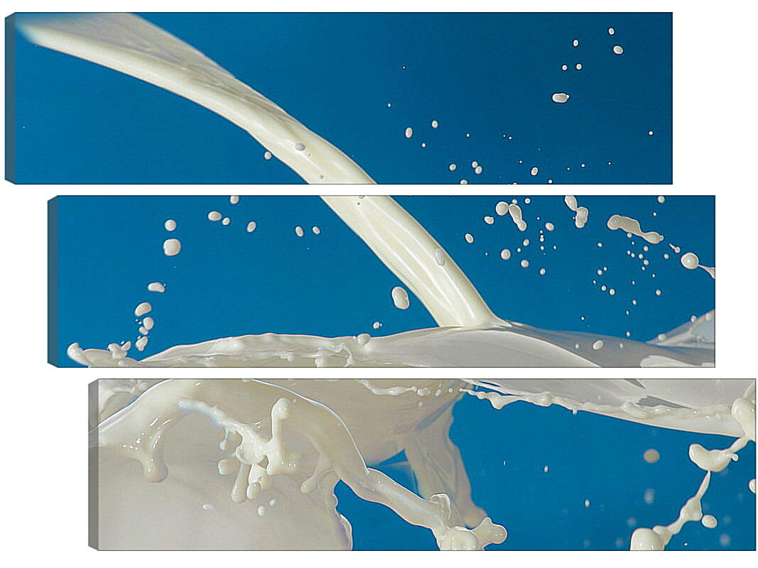 Модульная картина - Молоко и брызги