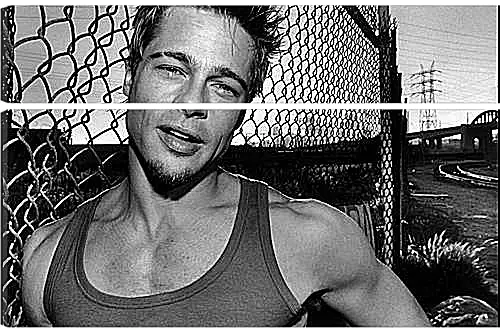 Модульная картина - Brad Pitt - Брэд Питт