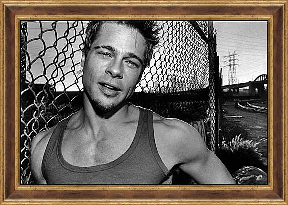 Картина в раме - Brad Pitt - Брэд Питт