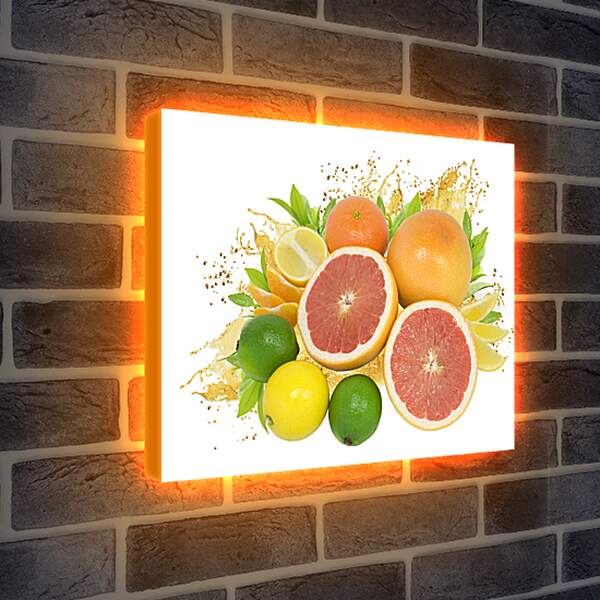 Лайтбокс световая панель - Разнообразие фруктов