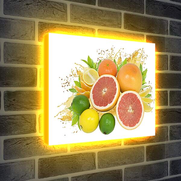 Лайтбокс световая панель - Разнообразие фруктов
