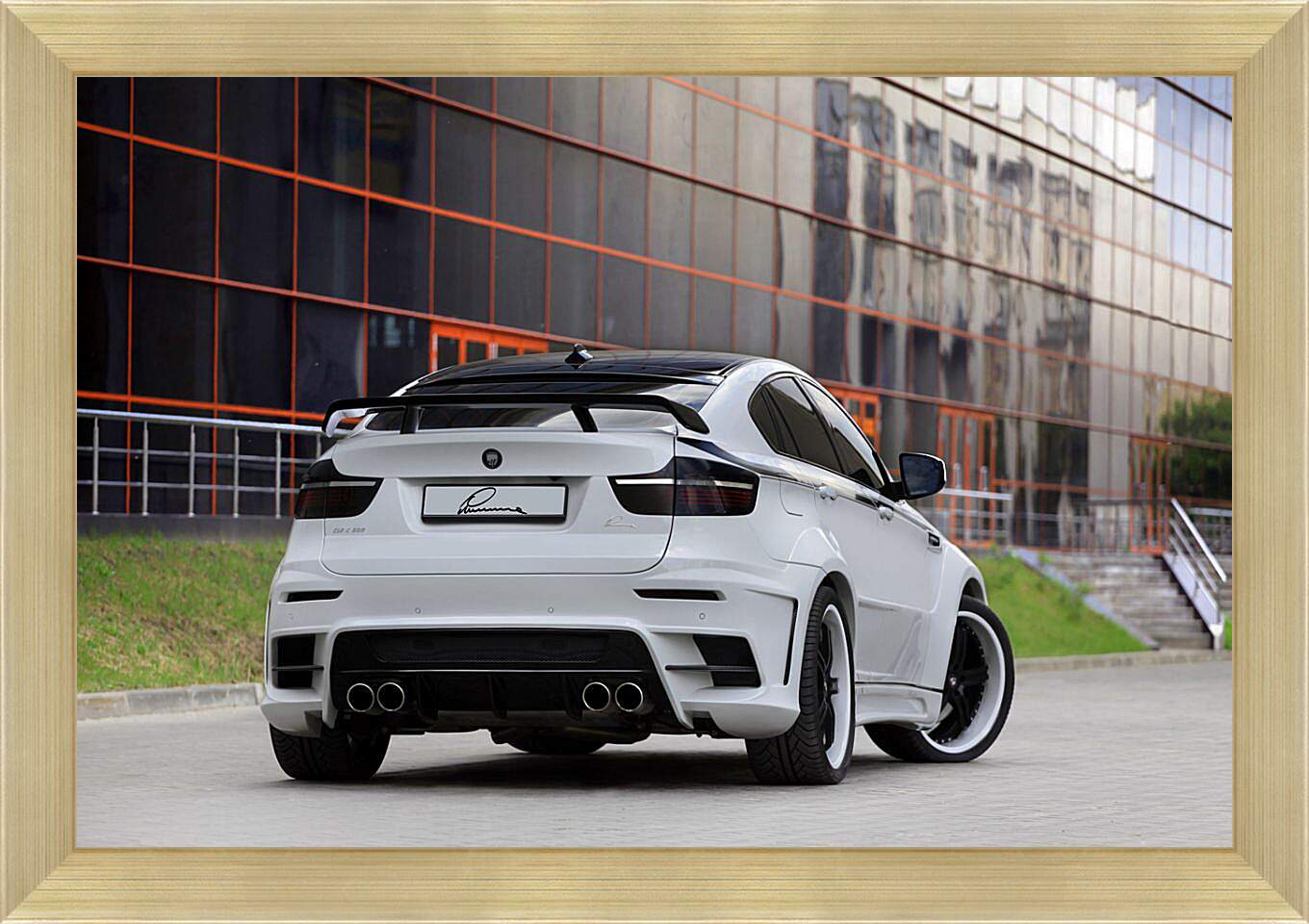 Картина в раме - BMW X6