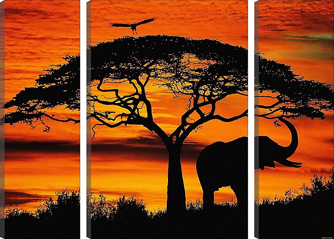 Модульная картина - Африка. Закат