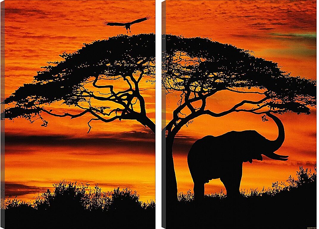 Модульная картина - Африка. Закат