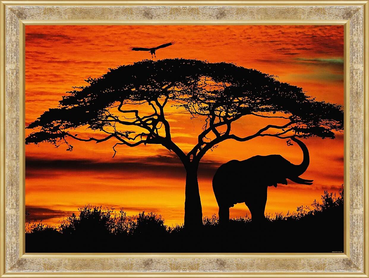 Картина в раме - Африка. Закат