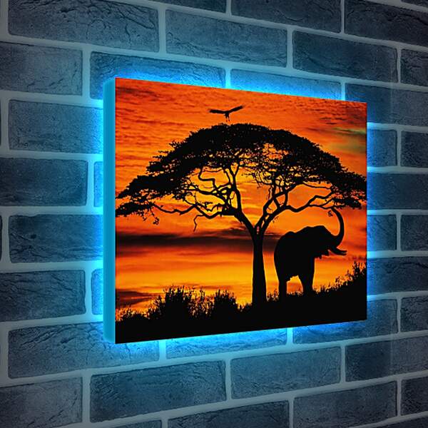 Лайтбокс световая панель - Африка. Закат