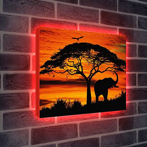 Лайтбокс световая панель - Африка. Закат