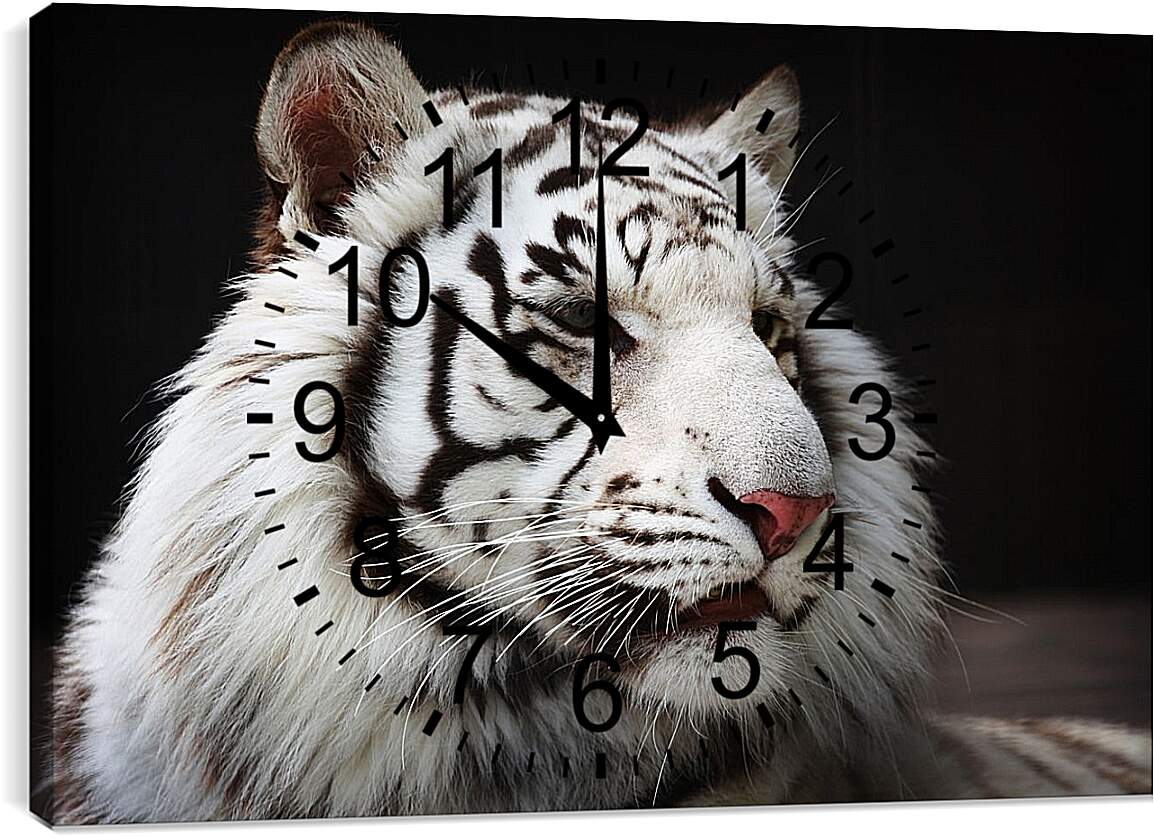 Часы картина - Белый тигр