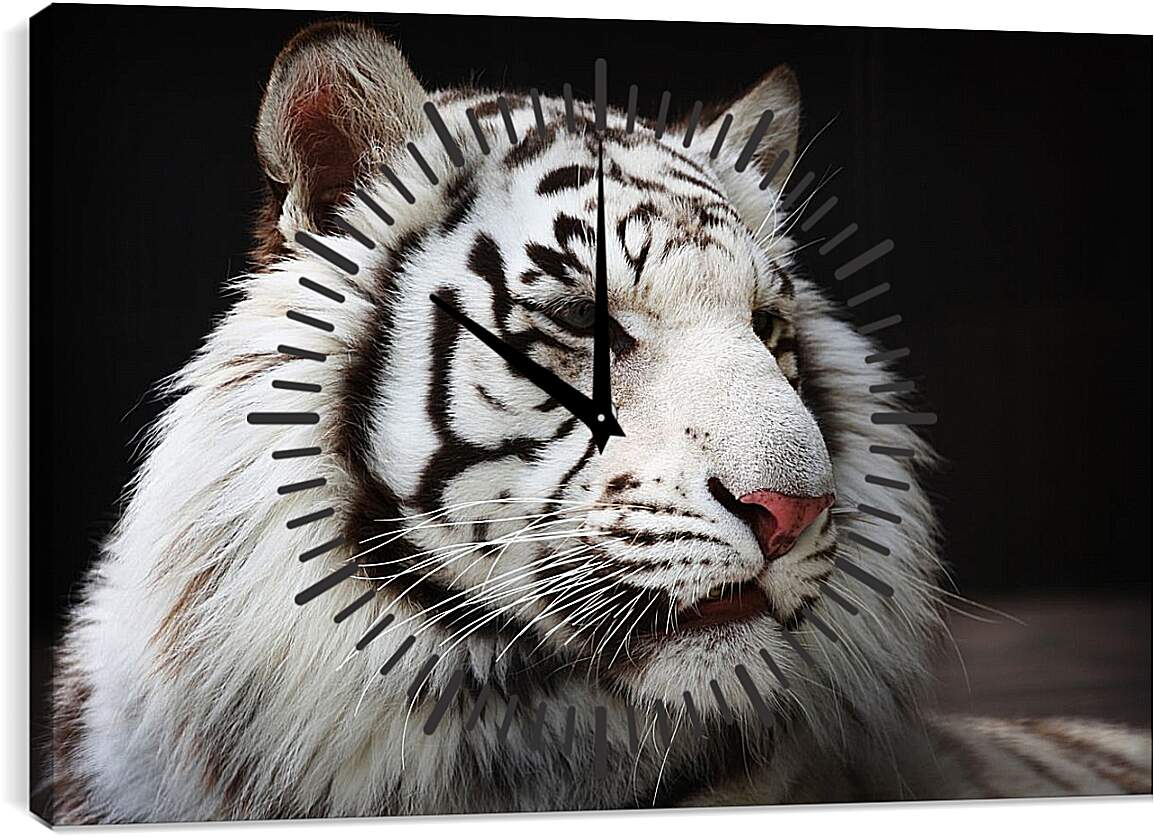 Часы картина - Белый тигр
