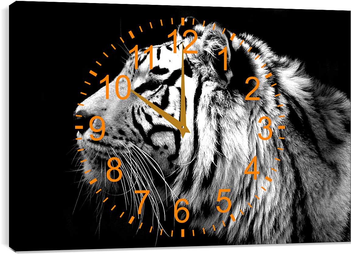 Часы картина - Белый тигр. Темнота. Хищник