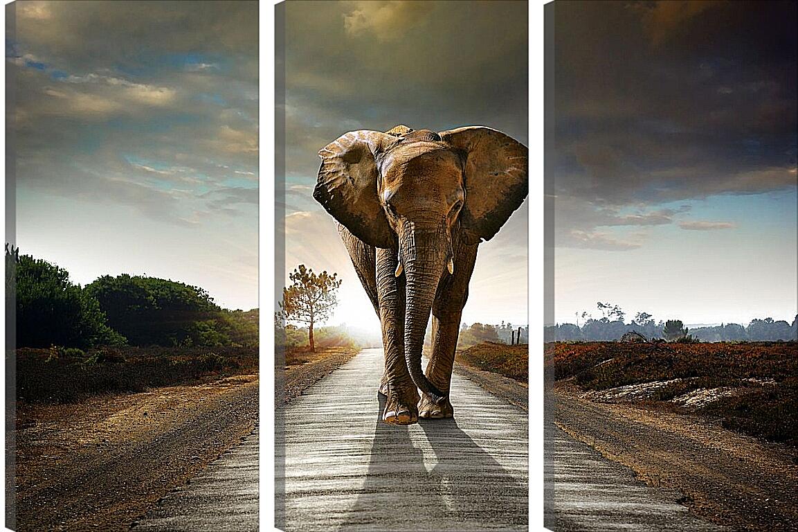 Модульная картина - Слон